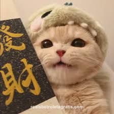 images (3)
